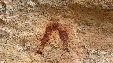Pacote Serra da Capivara 4Noites/3 Dias - Duplo